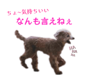 829027305
