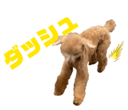 829027320