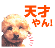 829027326