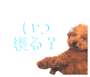 829027329