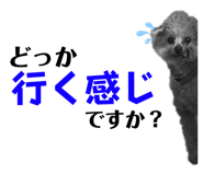 829027342