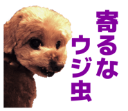 829027344