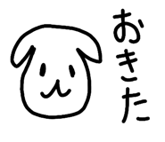 829030555