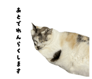 829049056