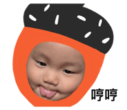 829066513
