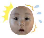 829066520