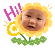 829066524