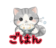 829067654