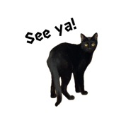 829070876