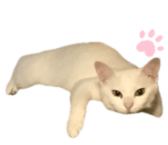 829071744