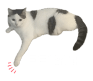 829071754