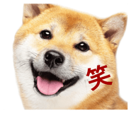 829082689