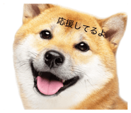 829082690