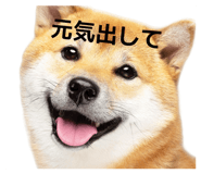 829082691