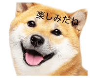 829082693