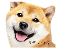 829082694