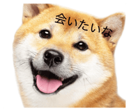 829082695
