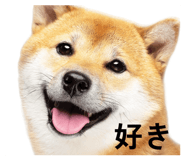 829082696