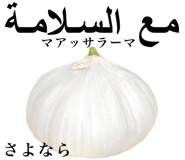829186441