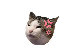 829187542