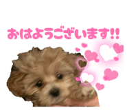 829196105