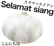 829203242