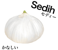 829203255