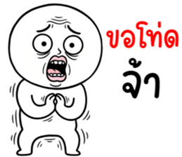 ลายที่ 49