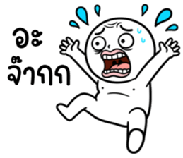 ลายที่ 67