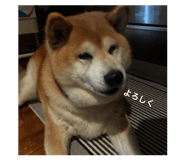 829208134