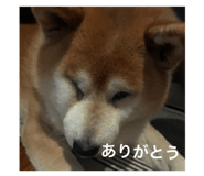 829208136
