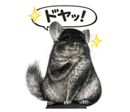 829221245