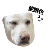829233588