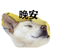 829233589
