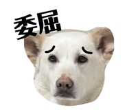 829233590