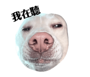 829233592