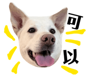 829233602