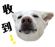 829233604