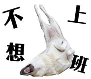 829233605