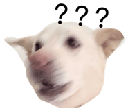 829233607