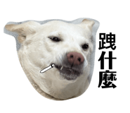 829233610