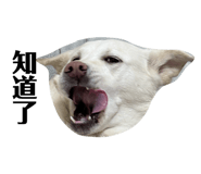 829233613