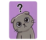 829244284