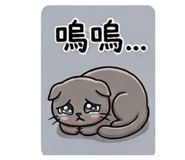 829244285
