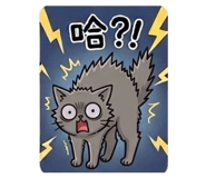 829244296