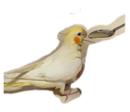 829244305