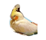 829244308