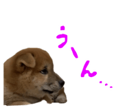829249192