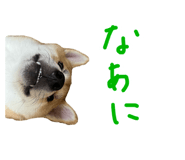 829249197
