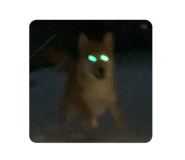 829249199